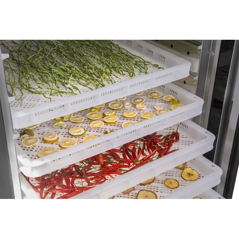Déshydrateur alimentaire indus - Commercial Food Dehydrator avis et prix
