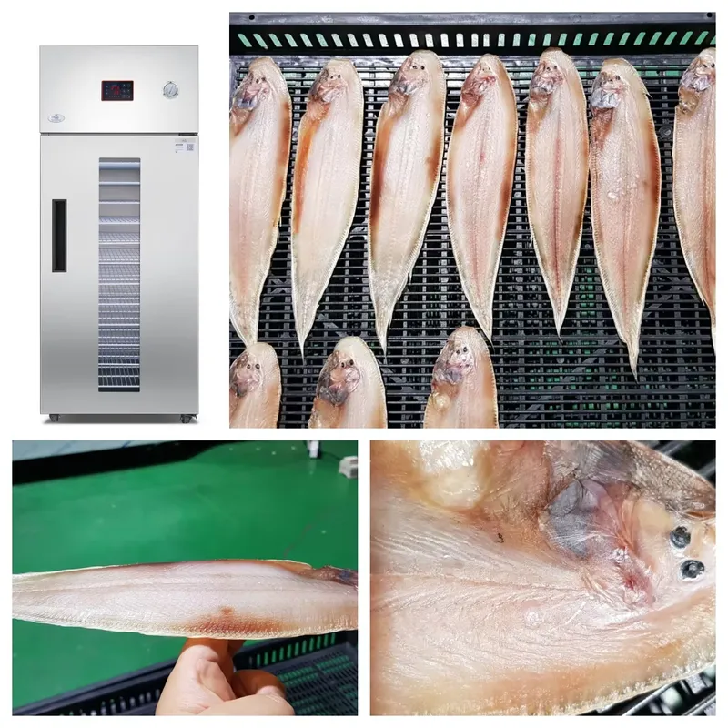 Déshydrateur alimentaire indus - Commercial Food Dehydrator avis et prix