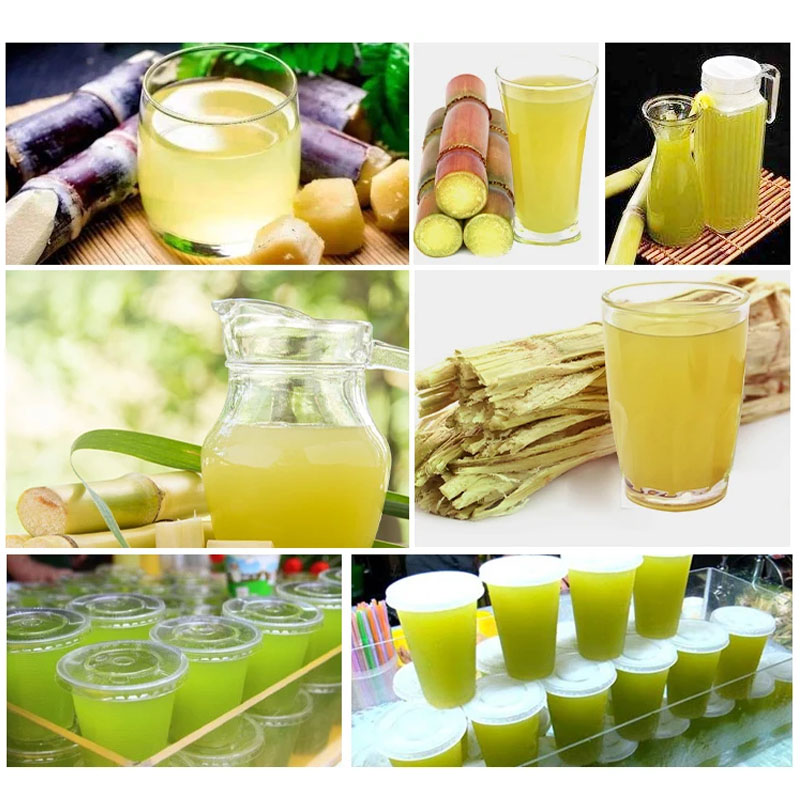 Presse-canne à sucre manuelle  - Juice Extractor Commercial avis et prix